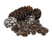 Pozostałe akcesoria świąteczne - Szyszki bielone w woreczku 300 g - miniaturka - grafika 1