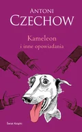 Literatura obyczajowa - Kameleon i inne opowiadania - miniaturka - grafika 1