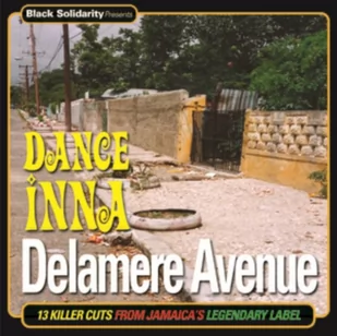 V A Black Solidarity Presents Dance Inna Delamere Avenue. Winyl V/A - Disco - miniaturka - grafika 1