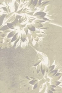 Dywan polski Agnella OPAL FLOWERS BEIGE WEŁNA - Dywany Dywan polski Agnella OPAL FLOWERS BEIGE WEŁNA - Dywany - miniaturka - grafika 1