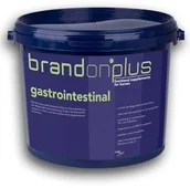 Akcesoria jeździeckie - St Hippolyt Leczenie wrzodów żołądka Brandon plus gastrointestinal - - 3kg - miniaturka - grafika 1