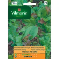 Nasiona i cebule - Mieszanka na kiełki Mesclun z rukolą 1 g Vilmorin Garden - miniaturka - grafika 1