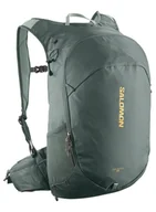Plecaki - Plecak codzienny Salomon Trailblazer 20 - urban chic / green milieu - miniaturka - grafika 1