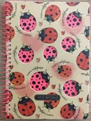 Zeszyty szkolne - Kołonotatnik B6/80K kratka kraft Biedronki - Fresh - miniaturka - grafika 1