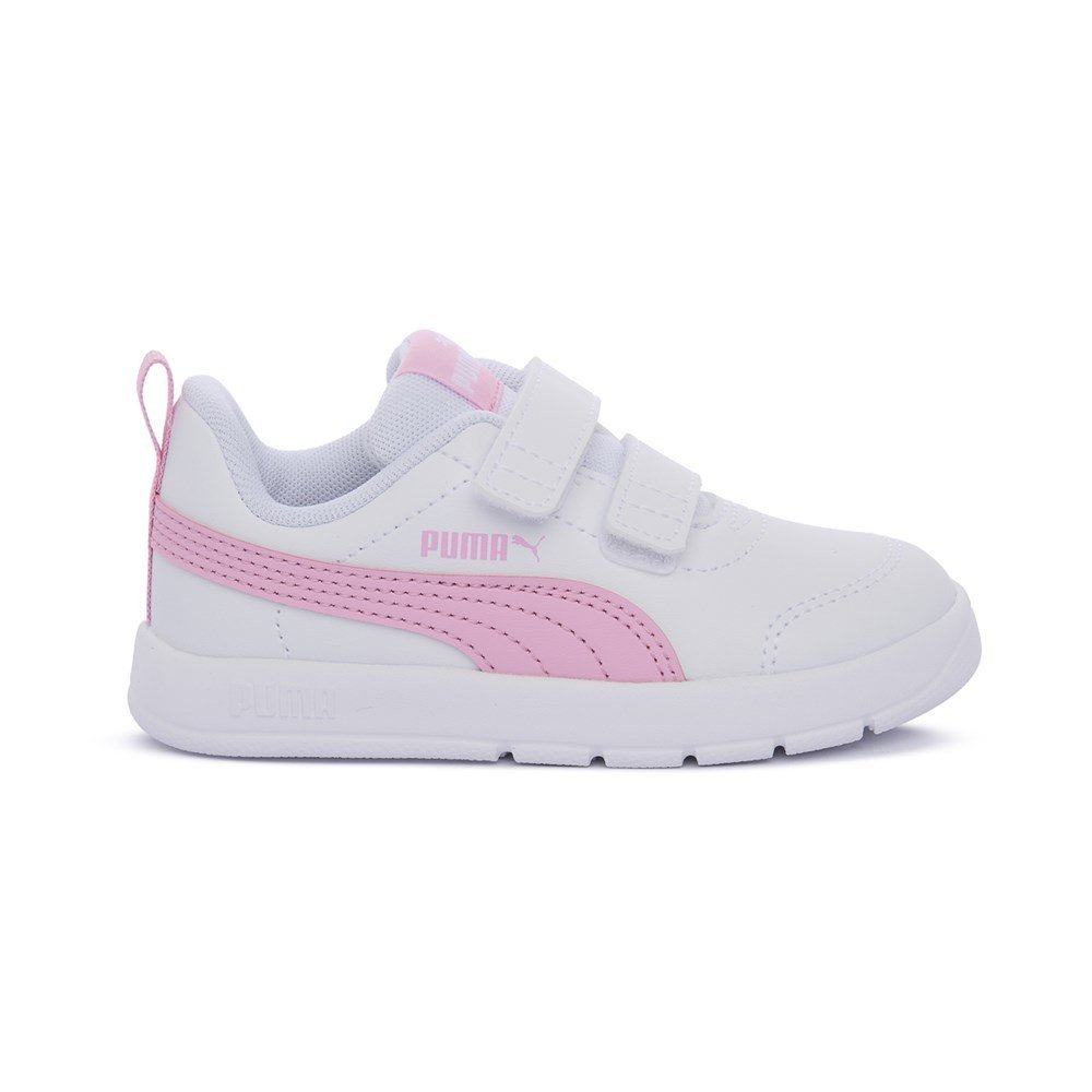 31025209