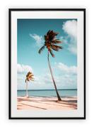 Plakaty - Plakat A3 30x42 cm Palmy Wakacje Woda Plaża WZORY - miniaturka - grafika 1