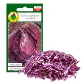 Nasiona i cebule - KAPUSTA CZERWONA KALIBOS NA SURÓWKI NASIONA BEZ GMO - miniaturka - grafika 1