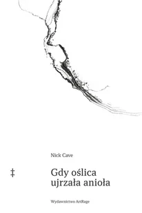 gdy oślica ujrzała anioła - Literatura obyczajowa - miniaturka - grafika 1