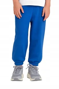 Spodnie Dresowe Chłopięce 4F Joggery Sportowe Niebieskie 4FJRAW24TTROM1178 Niebieski 164 - Spodnie damskie Spodnie Dresowe Chłopięce 4F Joggery Sportowe Niebieskie 4FJRAW24TTROM1178 Niebieski 164 - Spodnie damskie - miniaturka - grafika 1