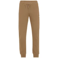 Spodnie męskie - BRAIVES - miniaturka - grafika 1