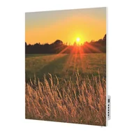 Parasole ogrodowe - Grzejnik na podczerwień z grafiką TF-SWT400P TERMOFOL - miniaturka - grafika 1