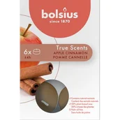 Świece - Podgrzewacz zapachowy 4h EE TS jabłko z cynamonem 6 szt. - miniaturka - grafika 1