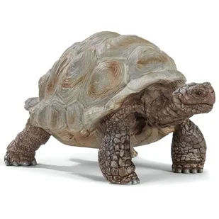 Schleich Żółw gigant - Figurki dla dzieci - miniaturka - grafika 1