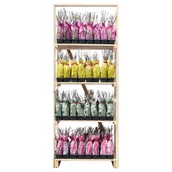 Kwiaty doniczkowe - Agrest czerwony w balocie wys. 35 cm - miniaturka - grafika 1