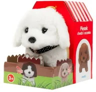 Zabawki interaktywne dla dzieci - Piesek chodzący - Smily Play - miniaturka - grafika 1
