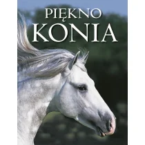 Piękno konia Nowa - Rośliny i zwierzęta - miniaturka - grafika 1