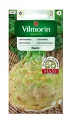 Nasiona i cebule - Seler korzeniowy Maxim 0,5 g Vilmorin - miniaturka - grafika 1