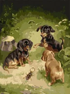 Malowanie po numerach - Malowanie po numerach - Gry szczeniąt 30x40cm - miniaturka - grafika 1