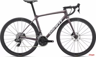 Giant TCR Advanced PRO DISC 1 AR 28 cali Męski Fioletowy 2023 - Rowery - miniaturka - grafika 1