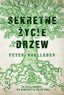 Felietony i reportaże - Sekretne życie drzew - miniaturka - grafika 1