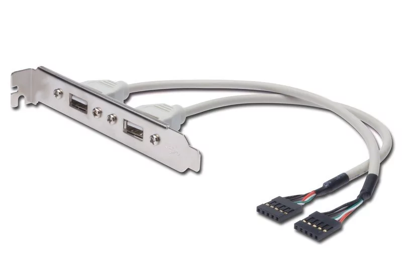 Digitus 0,25 m długość wtyczka A 2 X 5-pin IDC Slotblech kabel USB