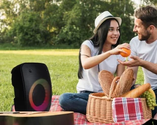 Głośnik bluetooth LTC RGB 4``  USB/SD/AUX/Radio FM  4000mAh - Głośniki przenośne - miniaturka - grafika 2