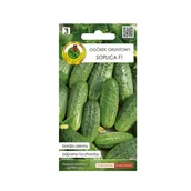 Nasiona i cebule - Ogórek Soplica nasiona Pnos - miniaturka - grafika 1