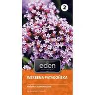Nasiona i cebule - Werbena patagońska 0,3 g Eden - miniaturka - grafika 1