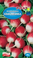 Nasiona i cebule - Rzodkiewka Krakowianka Nasiona 10g Polan - miniaturka - grafika 1