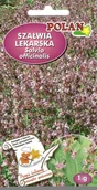Nasiona i cebule - Szałwia lekarska 1 g POLAN - miniaturka - grafika 1