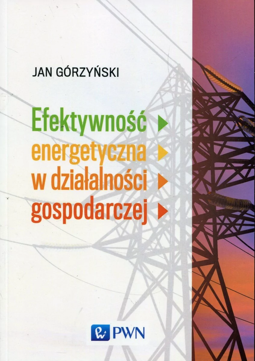 Wydawnictwo Naukowe PWN Efektywność energetyczna w działalności gospodarczej