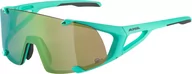 Okulary sportowe - Alpina Alpina Hawkeye S Q-Lite Glasses, turkusowy  2022 Okulary 8695071 - miniaturka - grafika 1