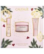 Serum do twarzy - Caudalie Resveratrol-Lift serum liftingująco ujędrniające 10 ml + krem na noc 50 ml +  krem liftingujący okolice oczu 5 ml [ZESTAW] 1147563 - miniaturka - grafika 1