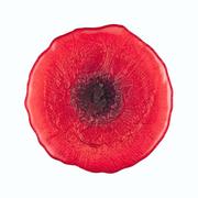 Talerze - Talerzyk Deserowy Szklany 21 cm Czerwony Mak Villa Italia - miniaturka - grafika 1