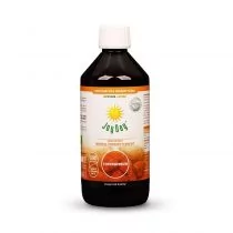 Living Food JOY DAY Bio koncentrat napoju probiotycznego Topinambur 500ml - Zdrowa żywność - miniaturka - grafika 1