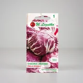 Nasiona i cebule - Cykoria sałatowa głowiasta Palla rossa 3 Czerwona 0,5g - Nasiona - W. Legutko - miniaturka - grafika 1