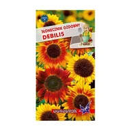 Nasiona i cebule - Słonecznik ozdobny wysoki Debilis 2g / O / - miniaturka - grafika 1
