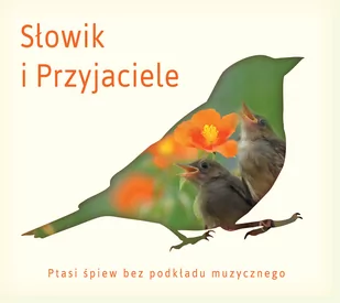 Słowik i przyjaciele - Muzyka relaksacyjna - miniaturka - grafika 1