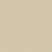 Wykładziny - Wykładzina PCV Eclipse Eviana M41 Beżowa 2M - miniaturka - grafika 1