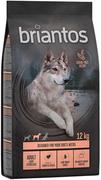 Sucha karma dla psów - Briantos Adult Light/Sterilised, indyk z ziemniakami, bez zbóż - 4 x 1 kg - miniaturka - grafika 1