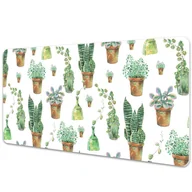 Podkładki na biurko - Mata ochronna na biurko Malowany kaktusy 90x45 cm - miniaturka - grafika 1