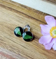 Kolczyki - KOLORY CZERNI - PAPROĆ - kolczyki z paprotką w żywicy - miniaturka - grafika 1