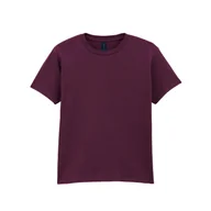 Odzież sportowa dziecięca - Koszulka Dziecięca/dziecięca Softstyle - miniaturka - grafika 1