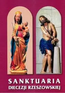 Sanktuaria Diecezji Rzeszowskiej - Religia i religioznawstwo - miniaturka - grafika 1