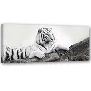 Obrazy i zdjęcia na płótnie - Obraz na płótnie, Czuwający tygrys (Rozmiar 150x50) - miniaturka - grafika 1