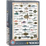 Eurographics Puzzle ryby morskie (1000 części)