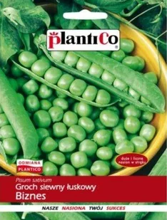 Groch siewny łuskowy Biznes 40 g Plantico - Nasiona i cebule - miniaturka - grafika 1