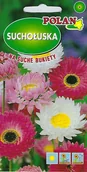Nasiona i cebule - Suchołuska mieszana 2 g POLAN - miniaturka - grafika 1
