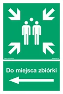 Systemy ekspozycyjne i znaki informacyjne - AC041 DO MIEJSCA ZBIÓRKI W LEWO, TS - PŁYTA TD FOTOLUMINESCENCYJNA; (350X525MM) - miniaturka - grafika 1