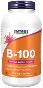 Suplementy diety - Witamina B-100 - Witaminy z grupy B (250 kaps.) - miniaturka - grafika 1